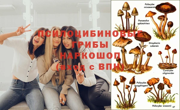 мескалин Бородино