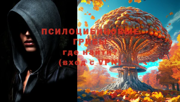 apvp Бугульма