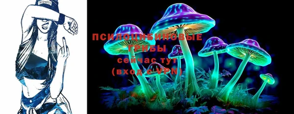 mdpv Богородицк